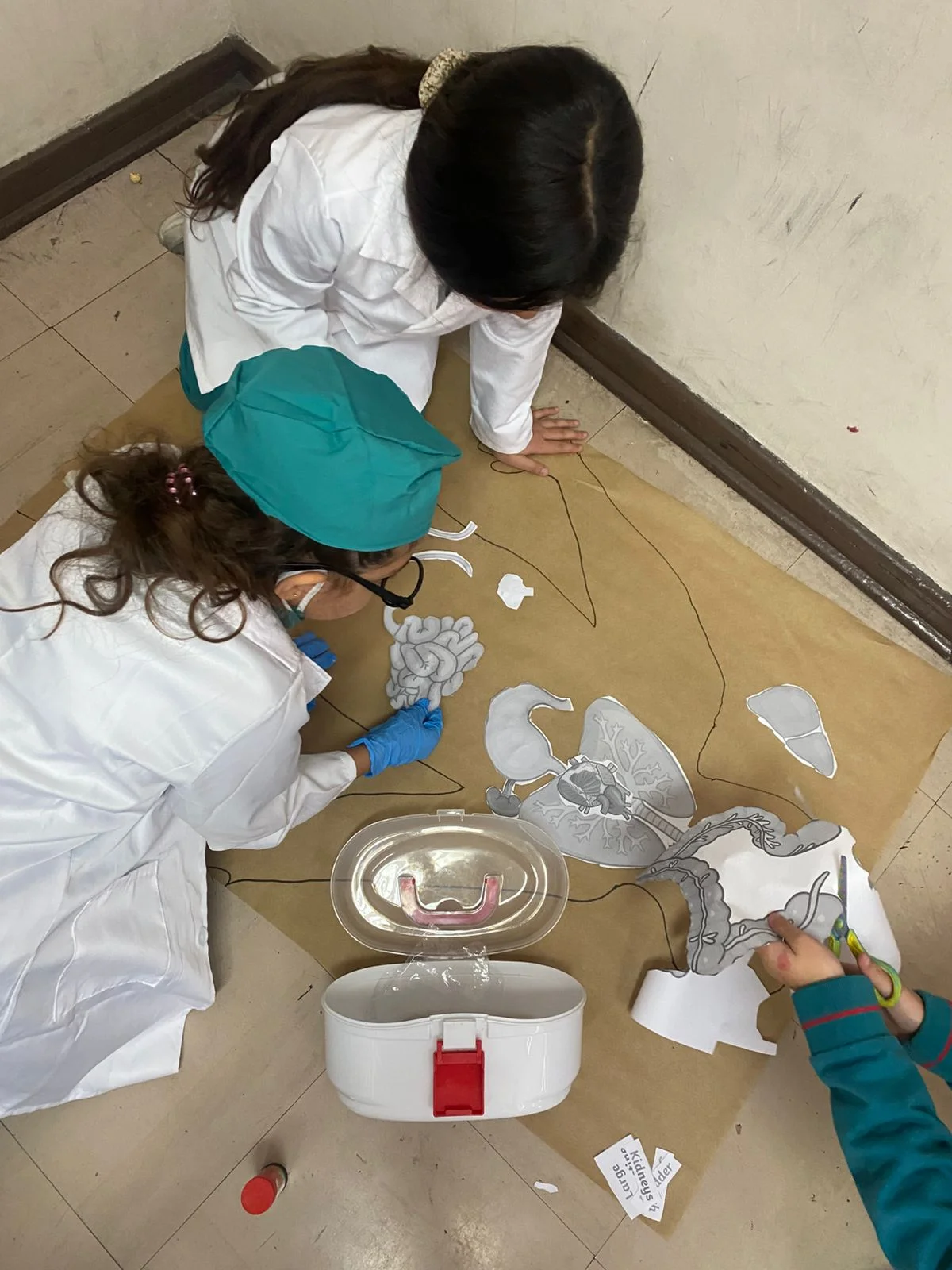 Entry Point - 2° Básico: Superhumans in Action!