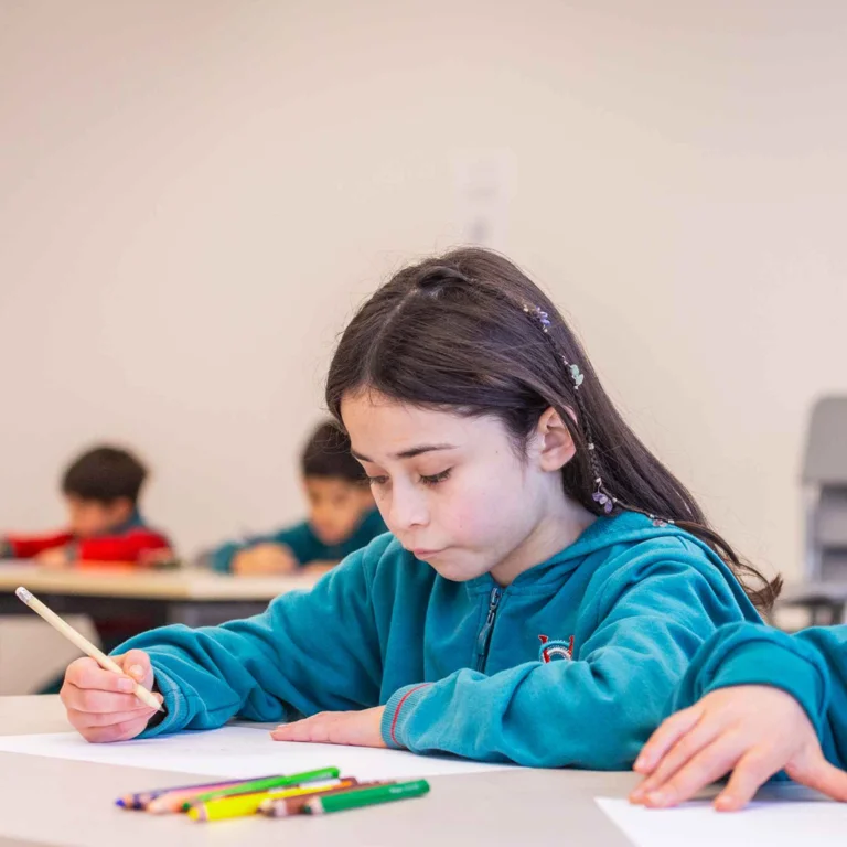 Excelencia académica