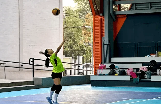 Voleibol Senior School