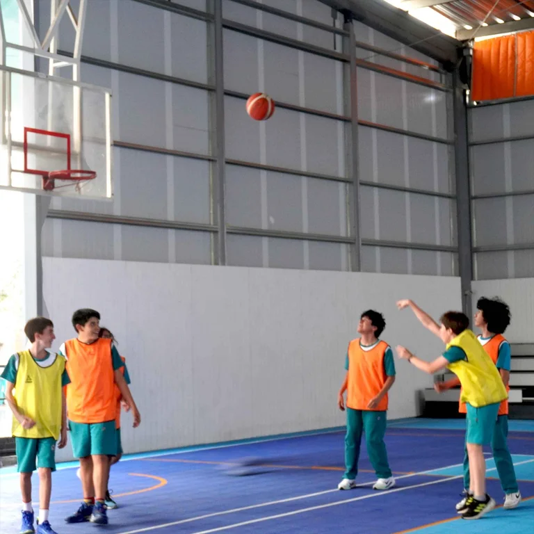 Mixed Basketball