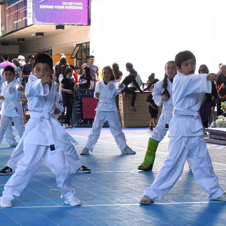 Taekwondo Middle School