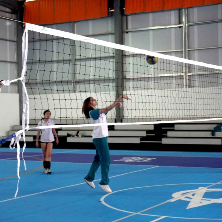 Mixed Volleyball