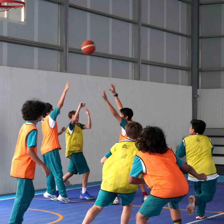 Primary School Mixed Basketball